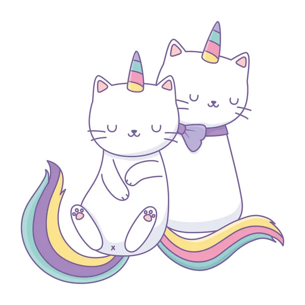 Unicorn cat cartoon couple vector design — Archivo Imágenes Vectoriales