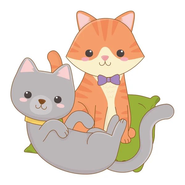 Wyizolowane koty kreskówki projekt wektor ilustrator — Wektor stockowy