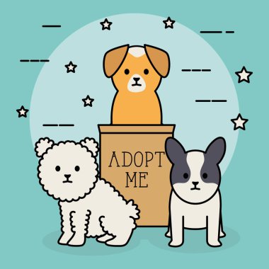 karton kutu ile küçük köpekler sevimli maskotlar