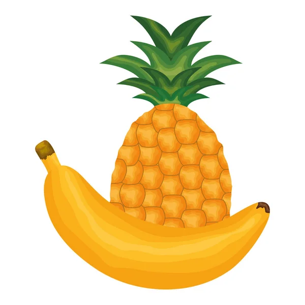 Fresh banana and pineapple fruits — Vector de stock