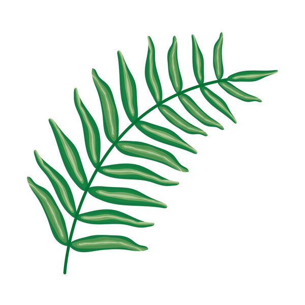 экзотические и тропические листья
