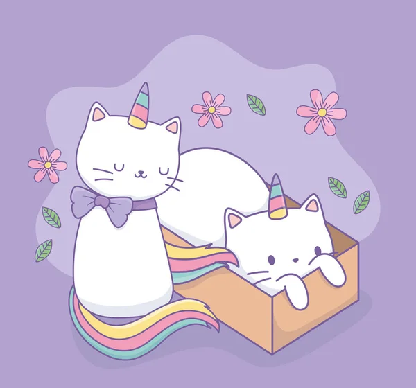 Cute cats with rainbow tail and carton box kawaii characters — ストックベクタ