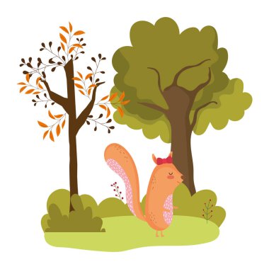 Isolated squirrel cartoon vector design