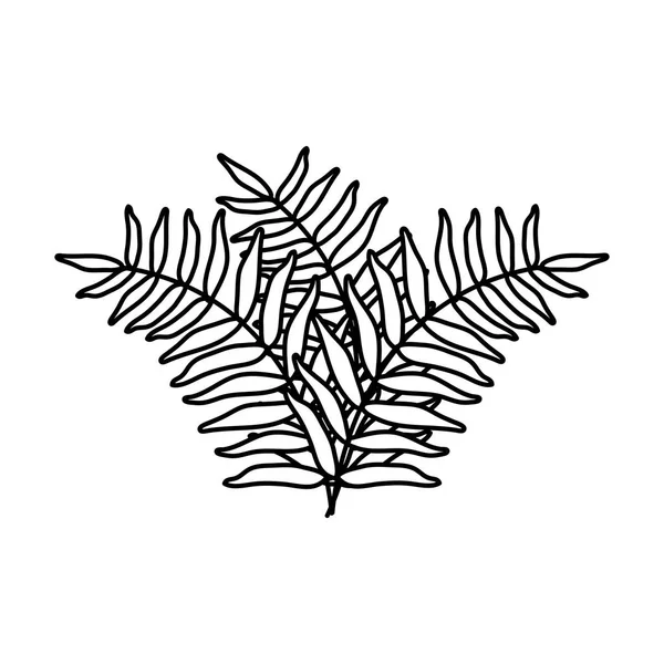 Exotic and tropical leafs plant decoration — Stockvektor