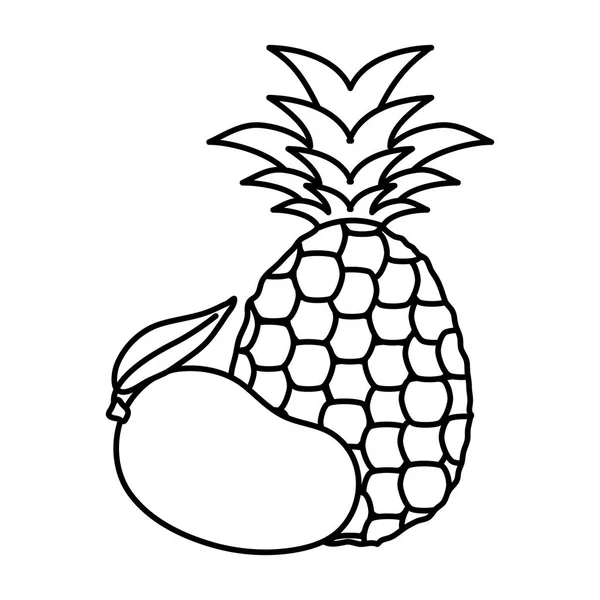Świeże owoce mango i ananasa — Wektor stockowy
