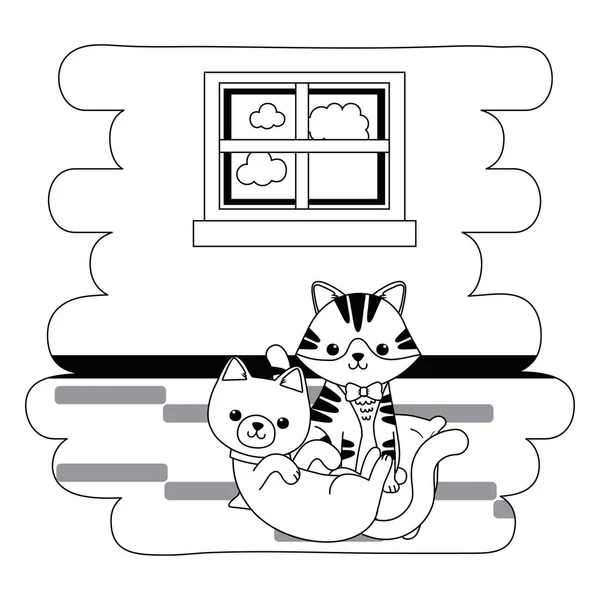 Gatos dibujos animados diseño — Vector de stock