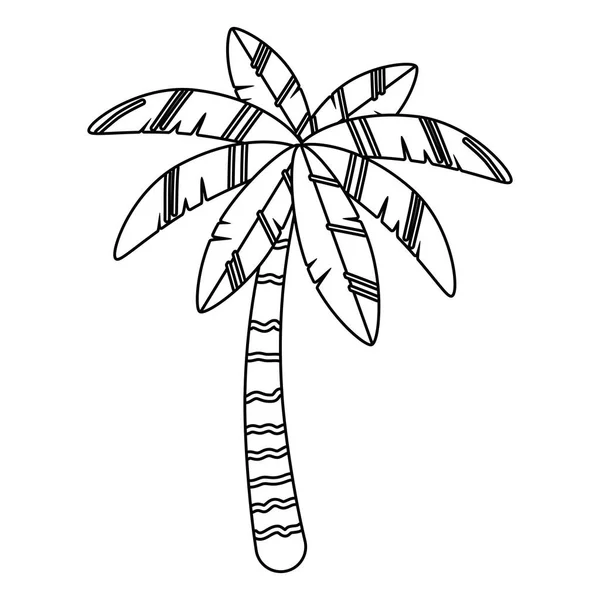 Yaz sezonu tasarım vektör illüstrasyon Palmiye ağacı — Stok Vektör