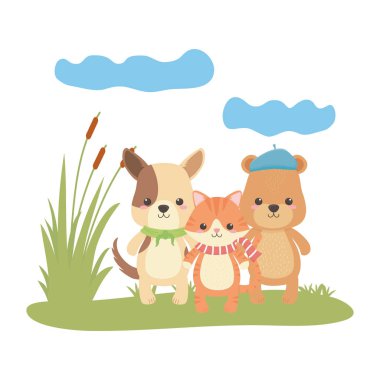 Kedi köpek ve ayı karikatür tasarımı