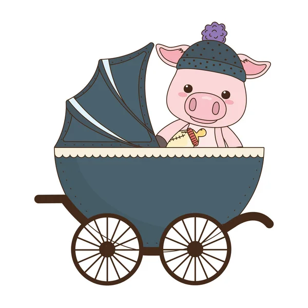 Conception isolée de dessin animé pour bébé porc — Image vectorielle