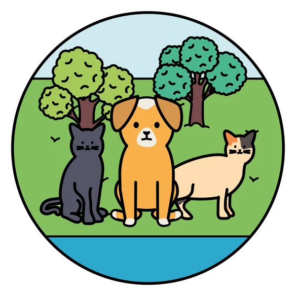 Schattige katten en honden mascottes in het park — Stockvector