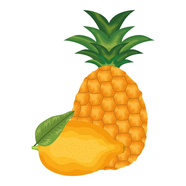 Citron frais et ananas frais — Image vectorielle