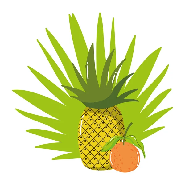 Pineapple and orange fruit vector design — Stok Vektör