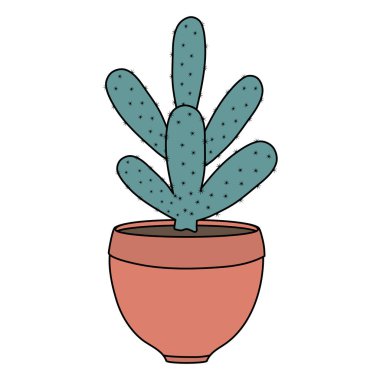 Seramik pot egzotik kaktüs bitki