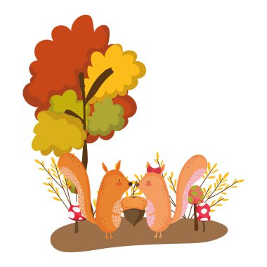 Isolated squirrel cartoon vector design