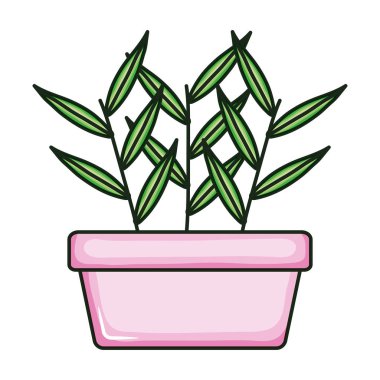 kare seramik pot bitki doğa