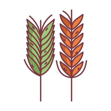 Buğday başağı merhaba sonbahar tasarım simgesi
