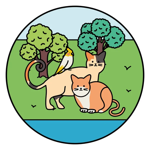 Cute cats and bird mascots in the park — стоковый вектор