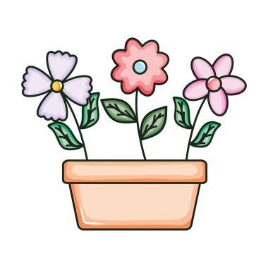 Kare seramik saksıda güzel çiçekler.