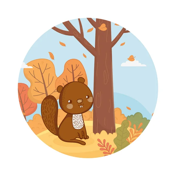 Aranyos állat lombozat hello ősz — Stock Vector