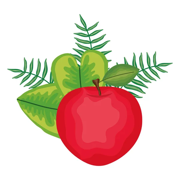 Украшение свежими яблоками и сливами — стоковый вектор