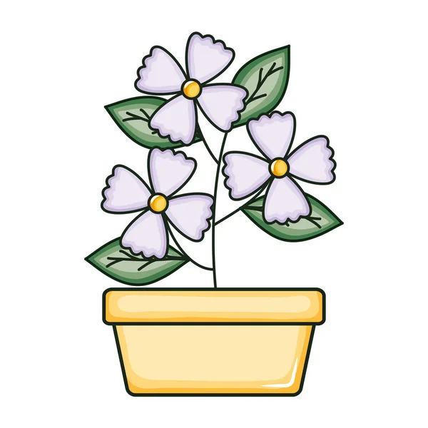スクエアセラミックポットの美しい花の庭 — ストックベクタ