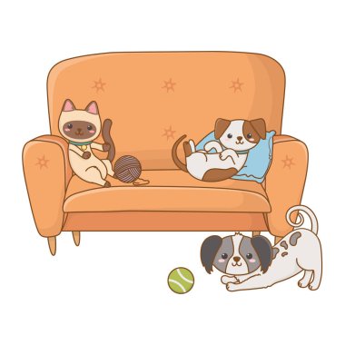 Kedi ve köpekler karikatürler tasarım vektör illüstratör