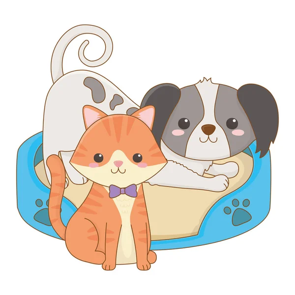 Isolé chat et chien dessin animé design — Image vectorielle