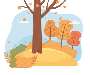 forest autumn season landscape scene