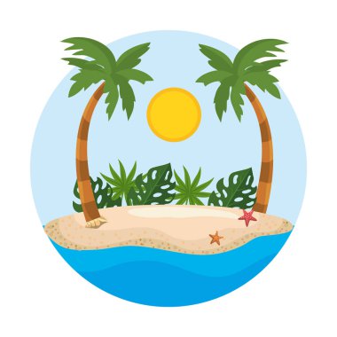 Yaz sezonu tasarım palmiye ağacı