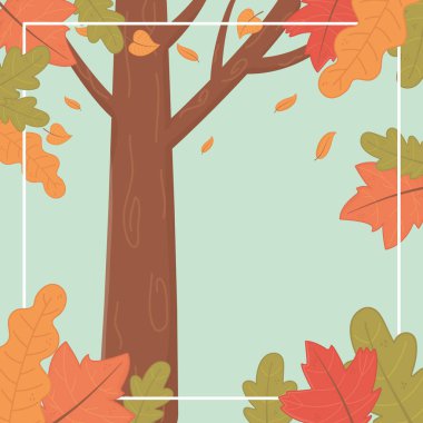 forest autumn season landscape scene