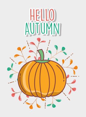 balkabağı merhaba sonbahar tasarım simgesi