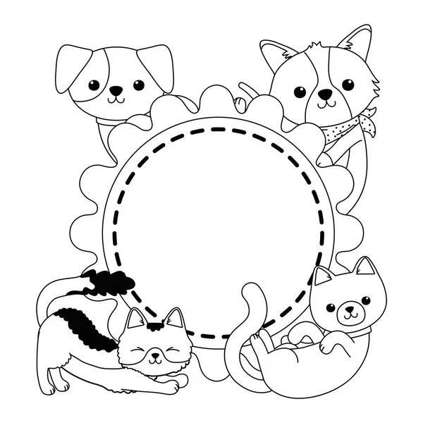 Cats and dogs cartoons design — Stok Vektör