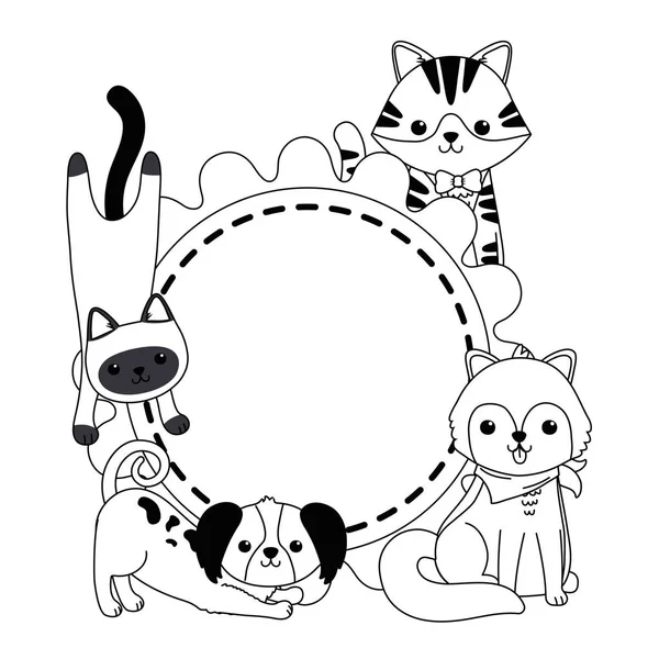 Cats and dogs cartoons design — Stockvektor