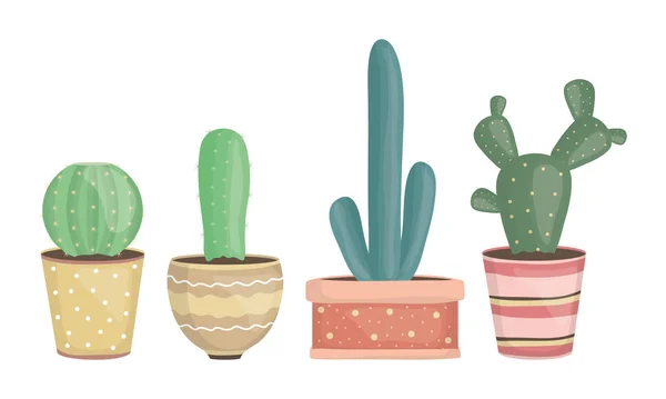 Set of exotic cactus plants in ceramic pots — Stockový vektor