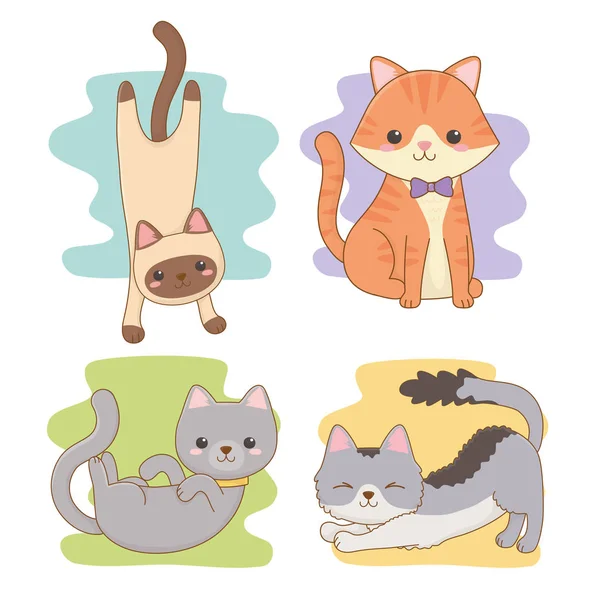 Bonito pequenos gatos mascotes personagens —  Vetores de Stock