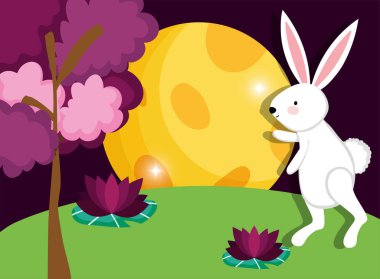 tavşan mutlu ay festivali görüntü