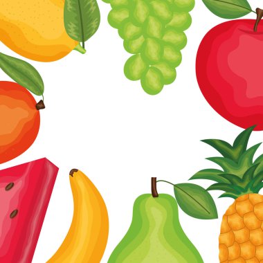 taze ve tropik meyve çerçevesi