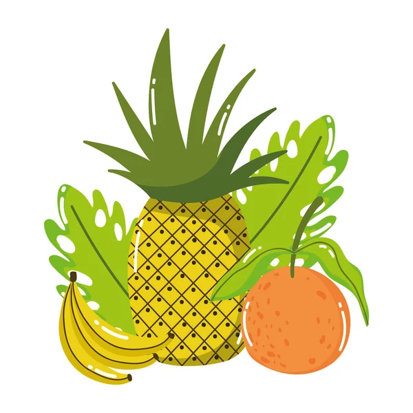 Ananas muz ve portakal tasarımı