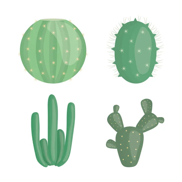 Exotic cactus plants in ceramic pots — 图库矢量图片