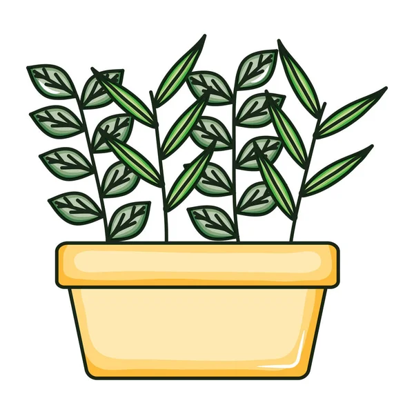 Natura vegetale in vaso di ceramica quadrato — Vettoriale Stock