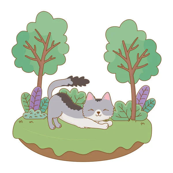 Cat cartoon design vector illustrator — Stock Vector