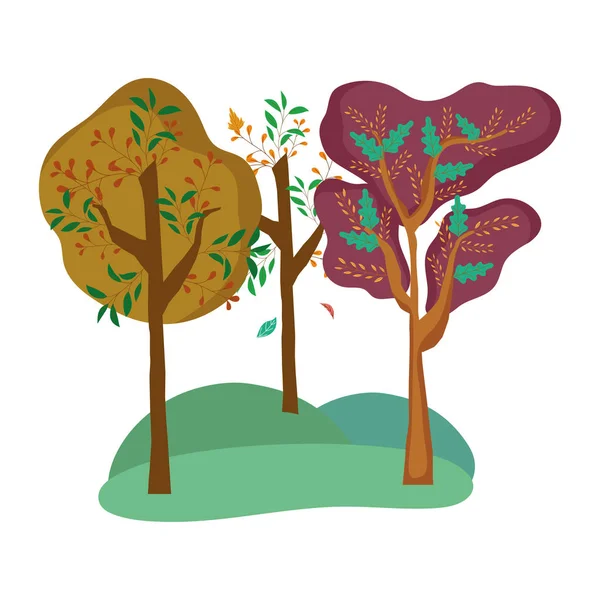 İzole soyut ve mevsim ağaçları tasarımı — Stok Vektör