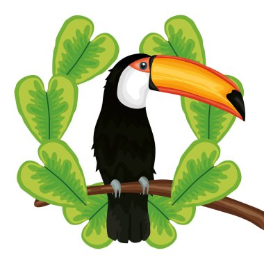 Egzotik ve tropikal yapraklı güzel bir tukan.