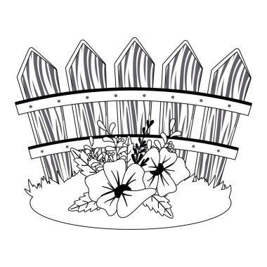 Flowers in front of fence vector design