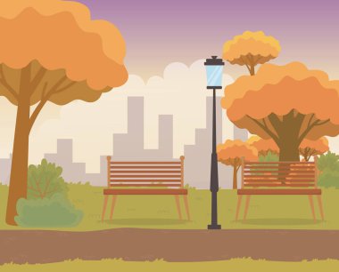 beautiful park with chairs and lamp landscape scene vector illustration