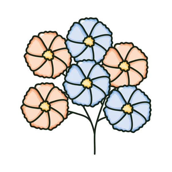 Красиві квіти садові декоративні — стоковий вектор