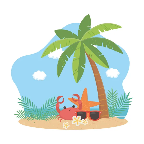 Summer and vacation icon set design — Stock Vector