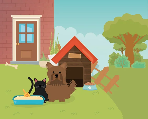 Kočka vrh box a pes s domem plot zahrada pet péče — Stockový vektor