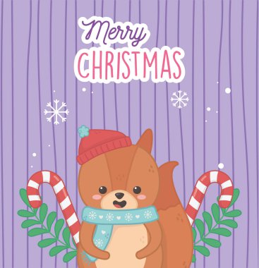 Şapkalı şirin ayı baston şekerlemeleri mutlu noeller bırakır