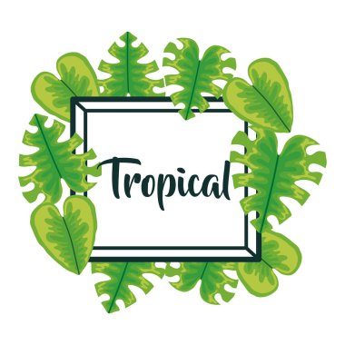 tropikal yapraklarla kare çerçeve